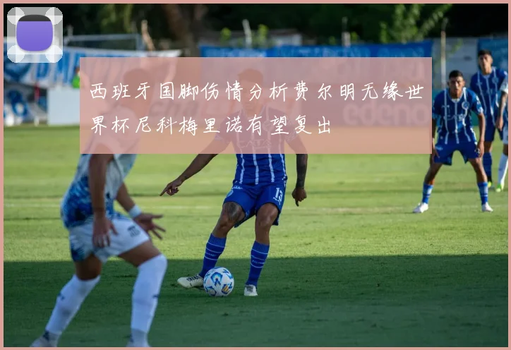 西班牙国脚伤情分析费尔明无缘世界杯尼科梅里诺有望复出